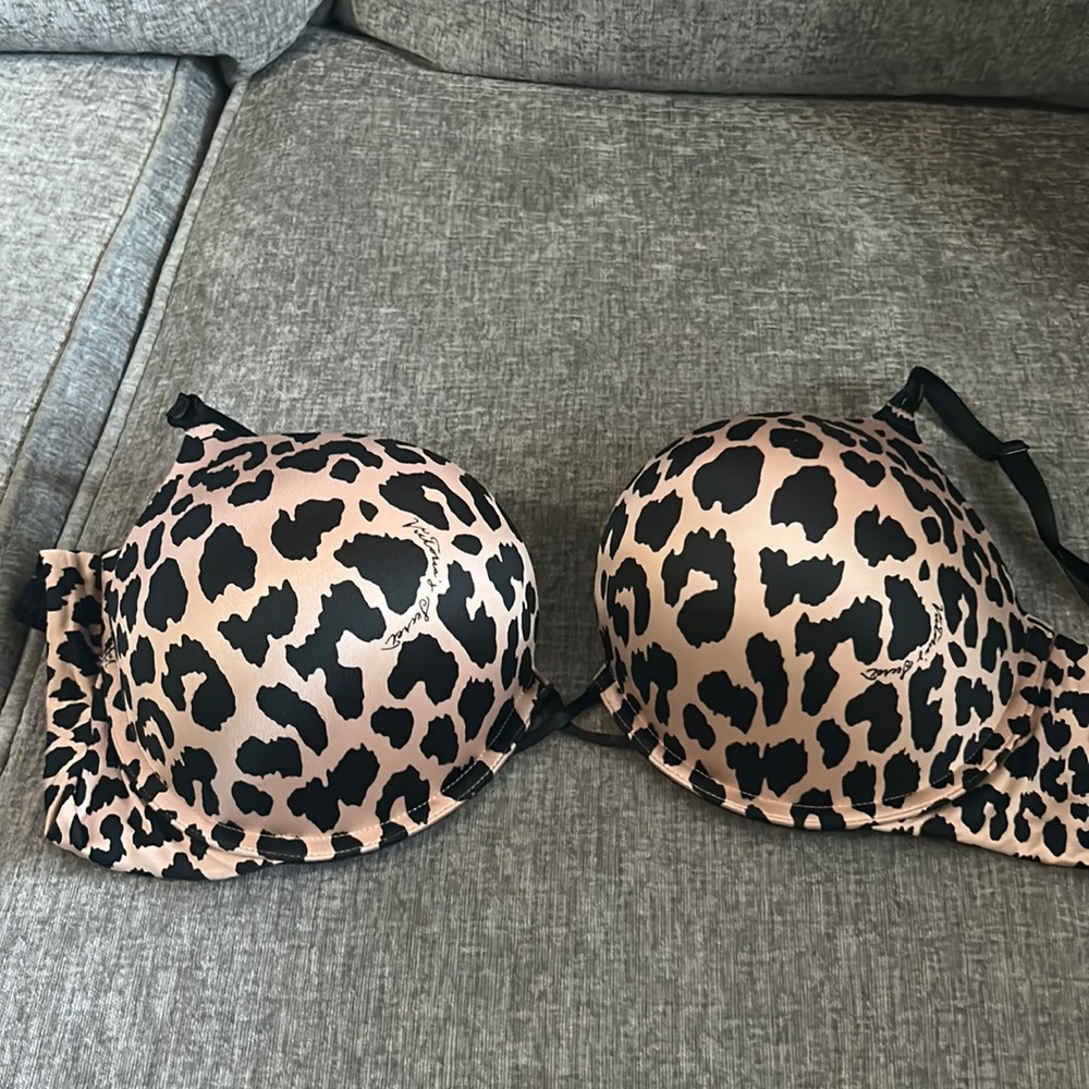 Cheetah Bombshell 38C